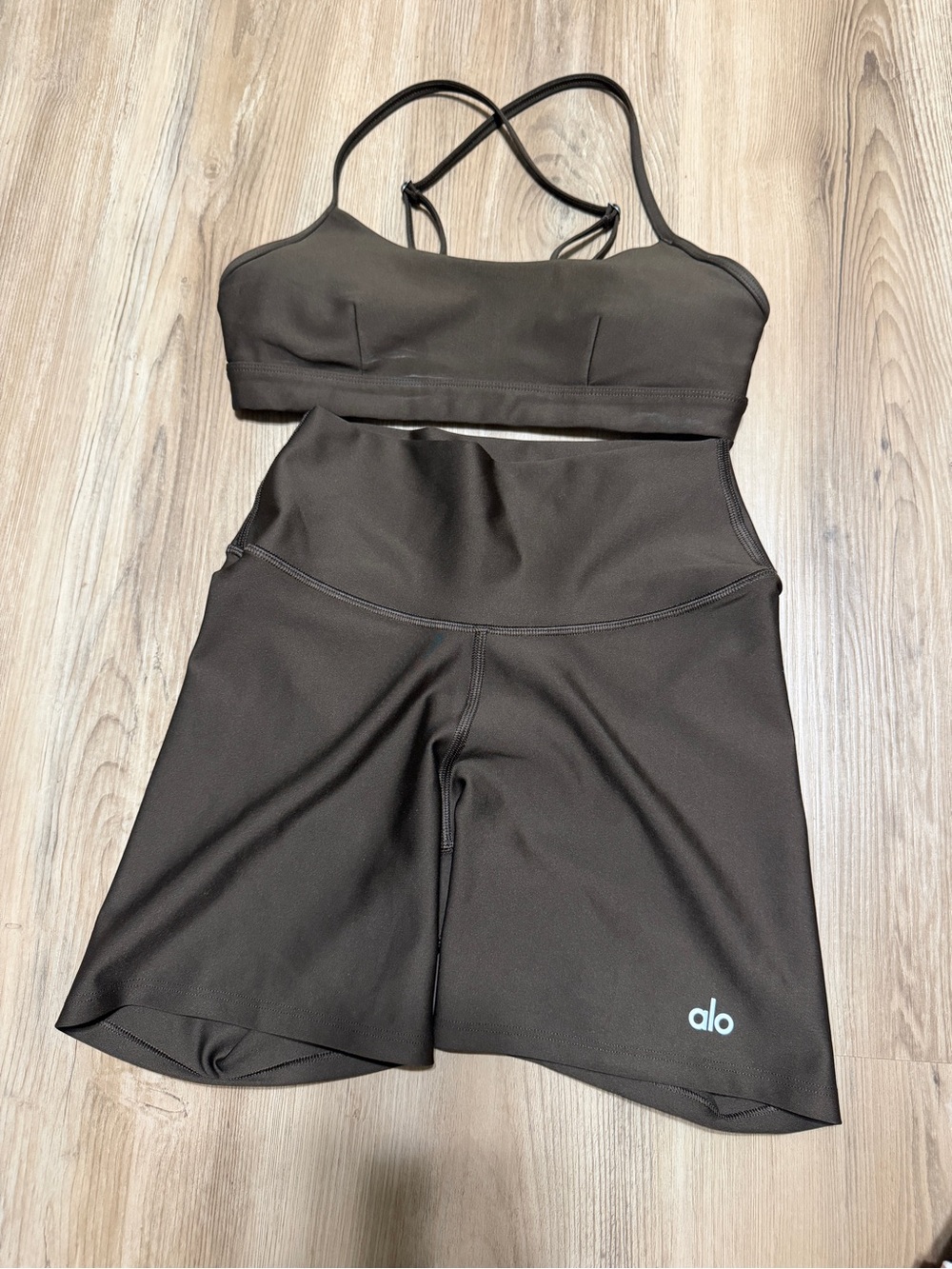 ALO Yoga Black High-Rise Bike Shorts